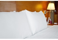 Gallery "Business class rooms"